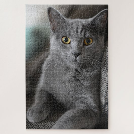 house cat puzzle ジグソーパズル (縦)