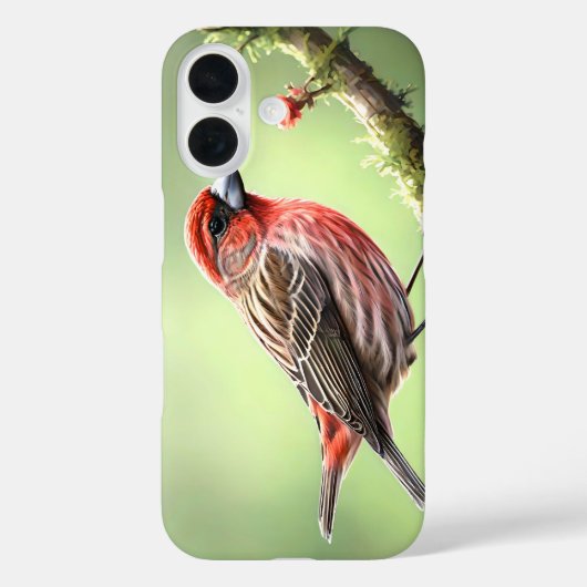 HOUSE FINCH BIRD AVIAN BACKYARD Case-Mate iPhoneケース (裏面)