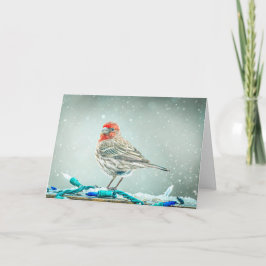 House Finch Christmas Card シーズンカード