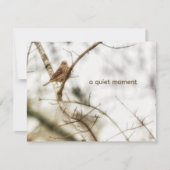 House Finch in Winter Branches Soft Nature Photo ノートカード (正面)