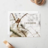 House Finch in Winter Branches Soft Nature Photo ノートカード (正面/裏面インサイチュ)