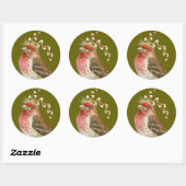 House finch sticker ラウンドシール (シート)