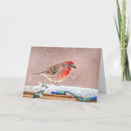 House finch with seed Christmas Card シーズンカード