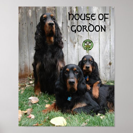 HOUSE OF GORDON Gordon Setter Generationsポスター ポスター (正面)