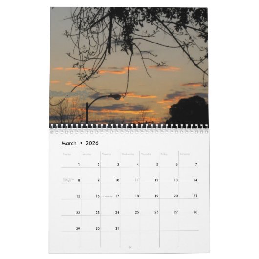 Houston Skies Calendar カレンダー (3月 2026)