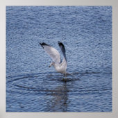 Hover ポスター (正面)