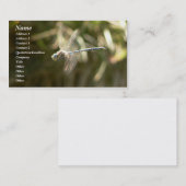 Hoverer 名刺 (正面/裏面)