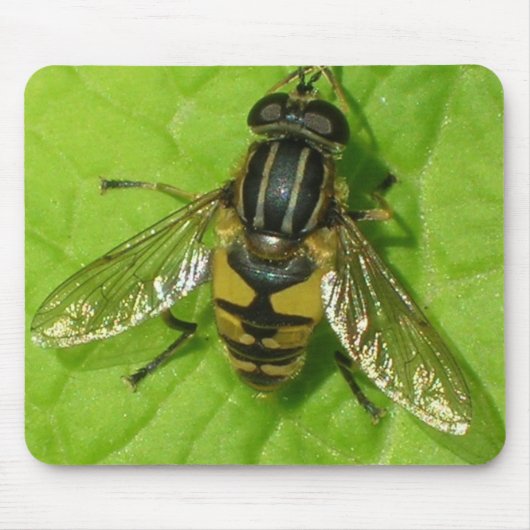 Hoverflyのマウスのマット マウスパッド (正面)