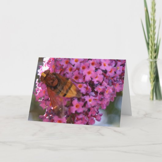 Hoverflyグリーティングカード カード (正面)