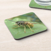 Hoverflyマクロコースター コースター (左側)