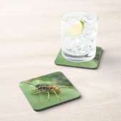 Hoverflyマクロコースター コースター (右側)