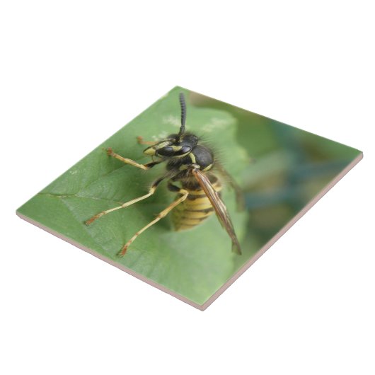 Hoverflyマクロタイル タイル (側面)