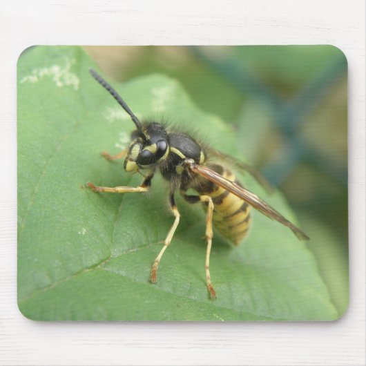 Hoverflyマクロマウスパッド マウスパッド (正面)