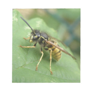 Hoverflyマクロメモ帳 ノートパッド