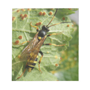 Hoverflyメモ帳 ノートパッド