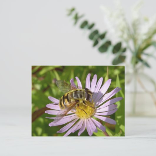 Hoverfly - Myathropaのflorea ポストカード (スタンド正面)