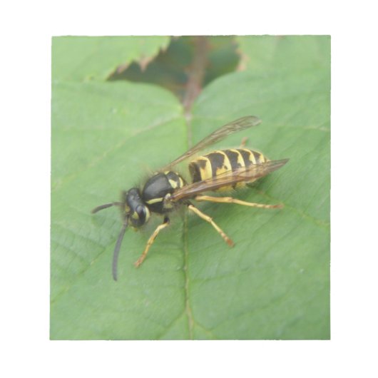 Hoverfly on a Leafメモ帳 ノートパッド (正面)