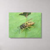 Hoverfly on a Leaf Canvas Print キャンバスプリント (正面)