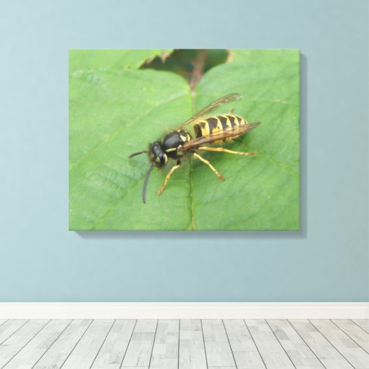 Hoverfly on a Leaf Canvas Print キャンバスプリント (インサイチュ (ウッドフロア))