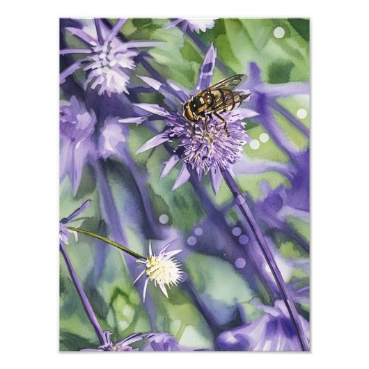 Hoverfly on Purple Eryngium Thistle Flower  フォトプリント (正面)