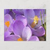 Hovering Bee ~はがき ポストカード (正面)