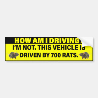 How Am I Driving? 700 Rats Driving  バンパーステッカー