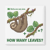 How Many Leaves? Sloth Brazil Math Game マグネット (正面)