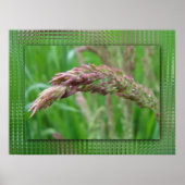 How the Grass Grows Print ポスター (正面)