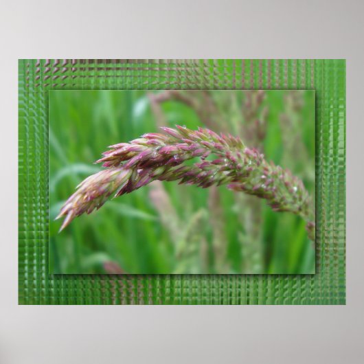 How the Grass Grows Print ポスター (正面)