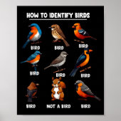 How To Identify Birds Funny Birds Identification B ポスター (正面)