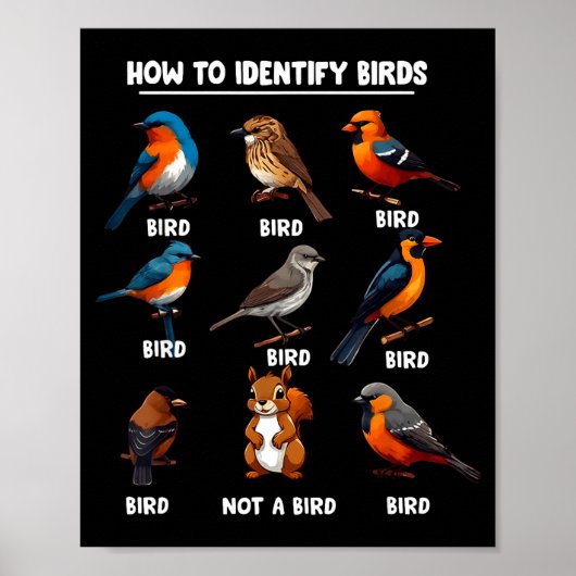 How To Identify Birds Funny Birds Identification B ポスター (正面)