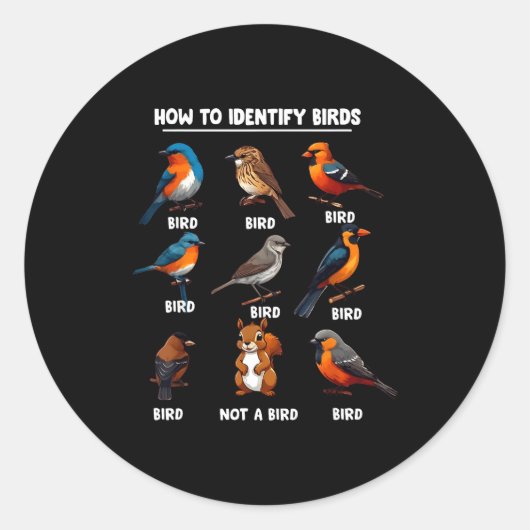 How To Identify Birds Funny Birds Identification B ラウンドシール (正面)