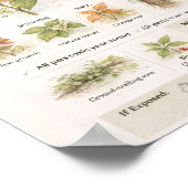 How to Identify Poison Ivy – Educational Botanical ポスター (角)