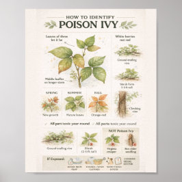 How to Identify Poison Ivy – Educational Botanical ポスター