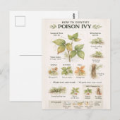 How to Identify Poison Ivy – Educational Botanical ポストカード (正面/裏面)
