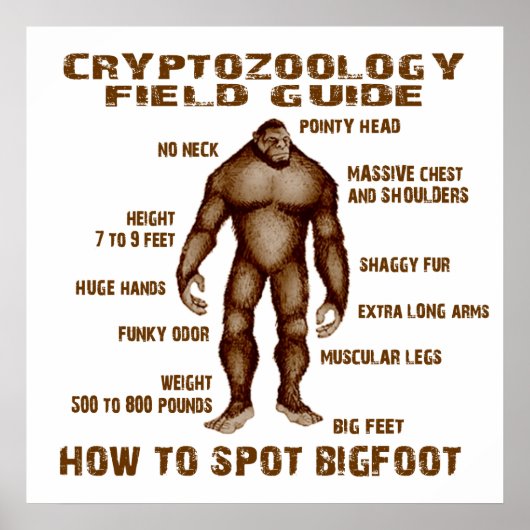 HOW TO SPOT BIGFOOT - Cryptozoology Field Guide ポスター (正面)