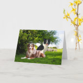 『Howdy & Buckeroo』挨拶  カード (黄色い花)