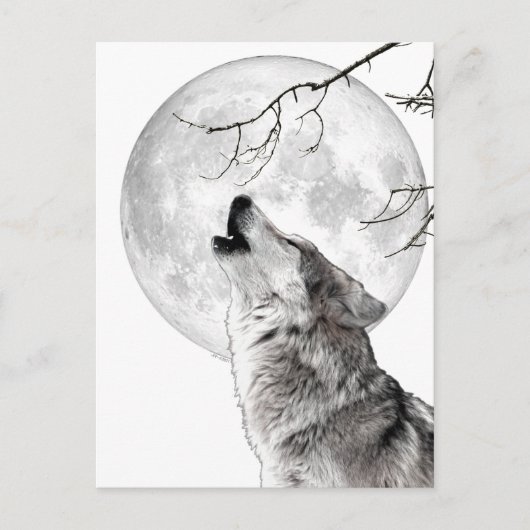 Howling Wolf, Moon, Gothic, Nature ポストカード (正面)