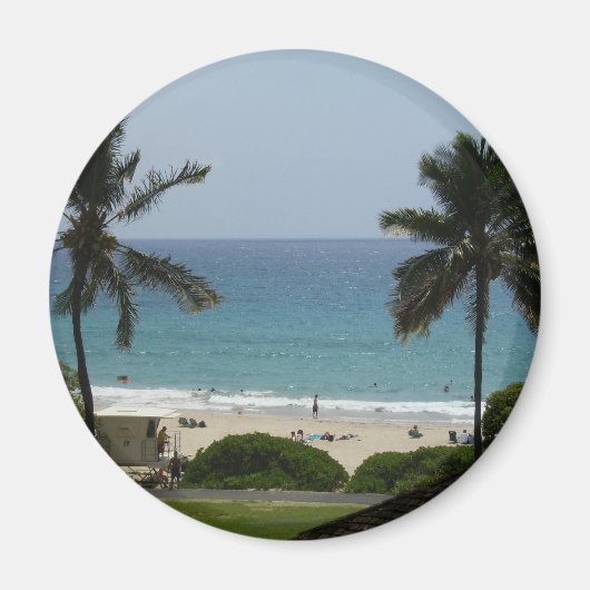 HPIM0170 マグネット (正面)