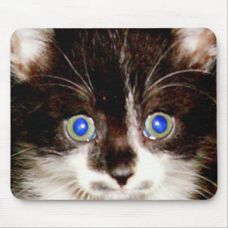 HPIM0940 マウスパッド