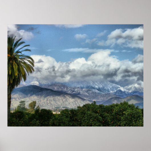 HPIM3850_fhdr ポスター (正面)