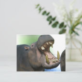 hppoの複数形 ポストカード (スタンド正面)