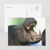 hppoの複数形 ポストカード (正面/裏面)