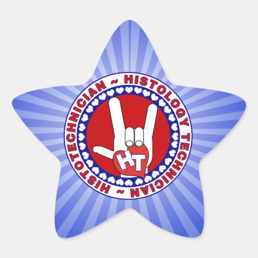 HT組織技術史学TECH LOVEロゴASL 星シール (正面)