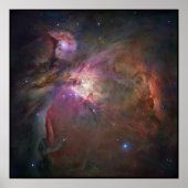 Hubble Orion Nebula ポスター (正面)