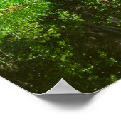 Huddersfield Broad Canal and Whitacre Mill Viaduct ポスター (角)