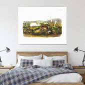 Hudson's Bay (Ungava Collated) Lemming by Audubon キャンバスプリント (インサイチュ (寝室))