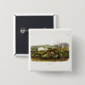 Hudson's Bay (Ungava Collated) Lemming by Audubon 缶バッジ (正面&裏面)