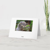 Hug an Australian Day 4月26日カード シーズンカード (裏面)