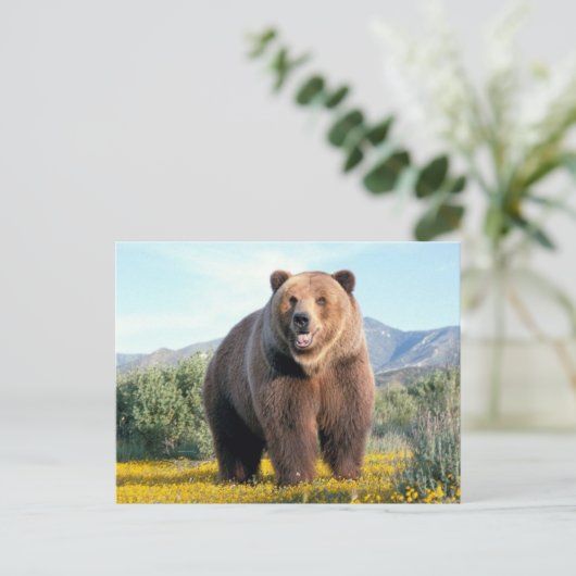 Huge Brown Bear ポストカード (スタンド正面)